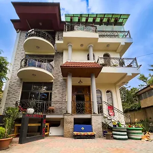 Mad Vervet Backpackers Addis Ababa